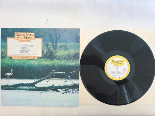 Disco vinile giri grande - disco,