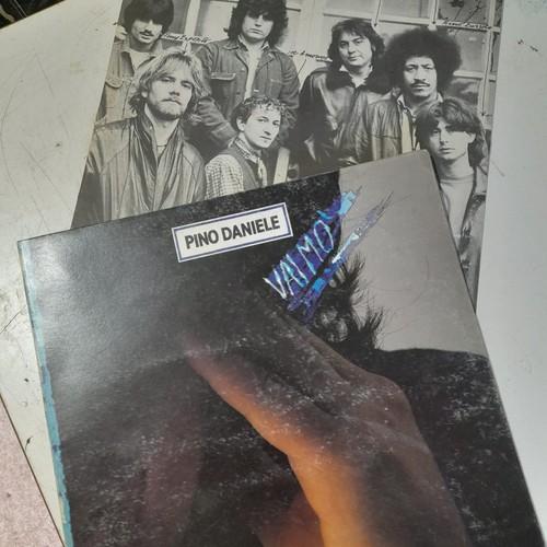 Vinile disco giri - vinile,